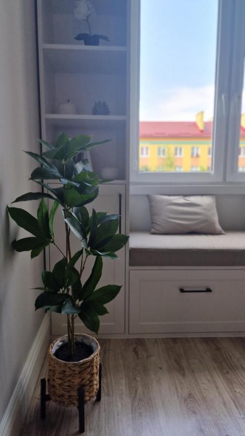 Alfama Garden Apartment Grudziadz Exterior photo
